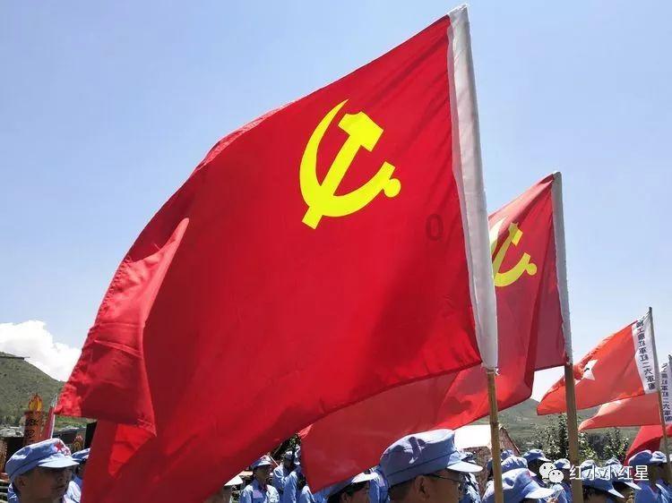松材线虫病害自动检测仪